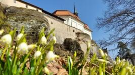 valdštejn jaro2 642271824 947413071134813 790569260262201148 n